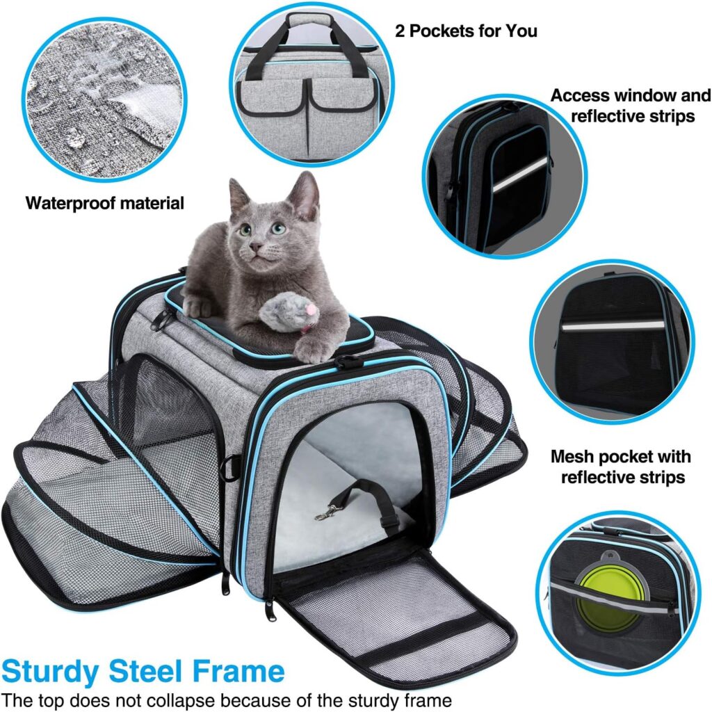 Airline approved pet carrier review