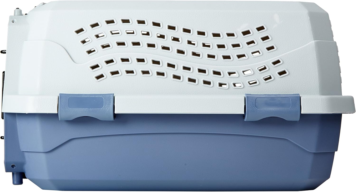 Amazon Basics 2-Door Top-Load Pet Carrier review