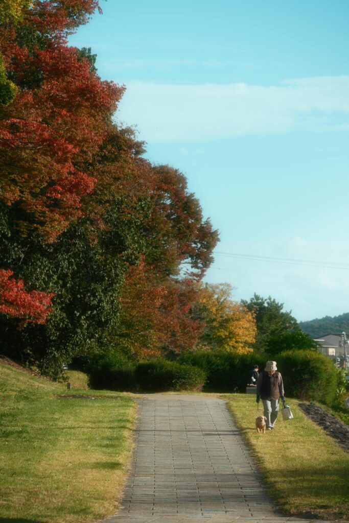 Amazon basics 4-doors portable soft-sided travel crate kennel