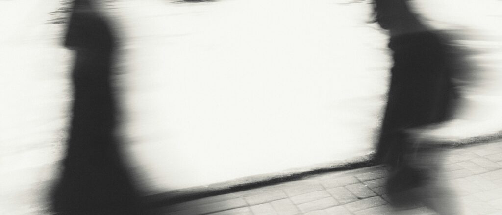 Athena collection 18\" hard-sided pet carrier review