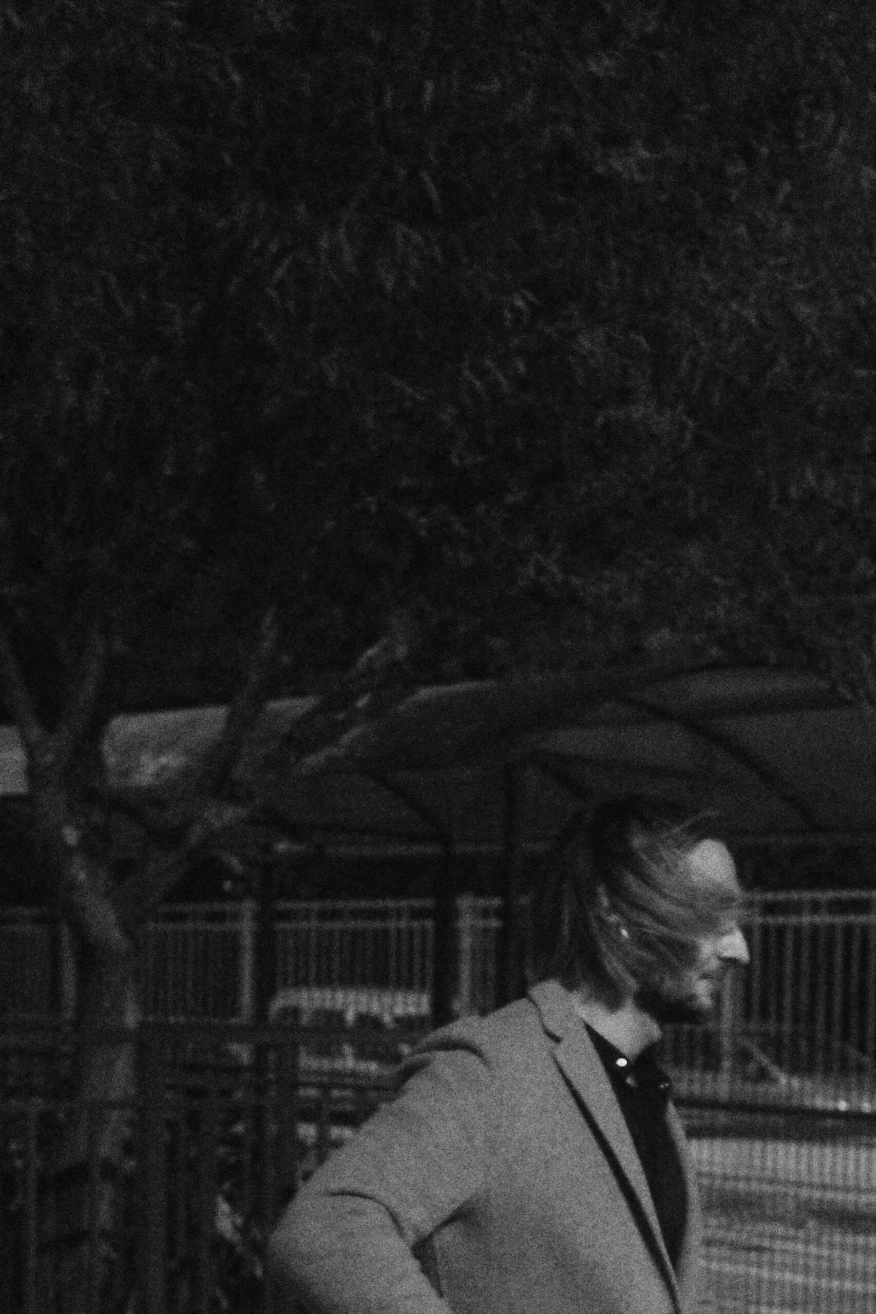 Athena Collection 18\” Hard-Sided Pet Carrier review