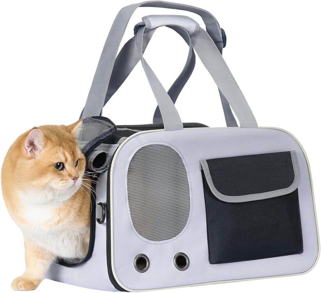 Cat & dog carrier up to 15 lbs