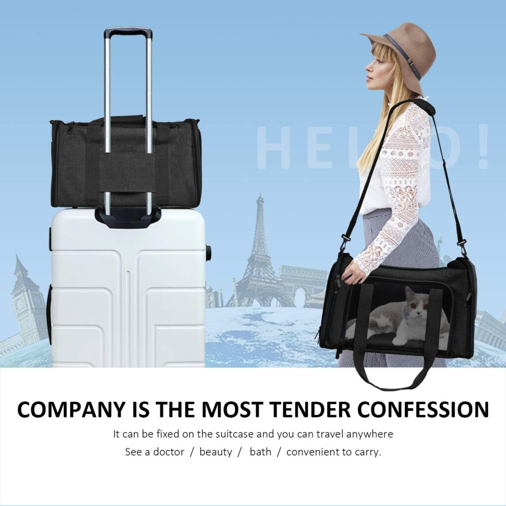 Henkelion cat carrier review