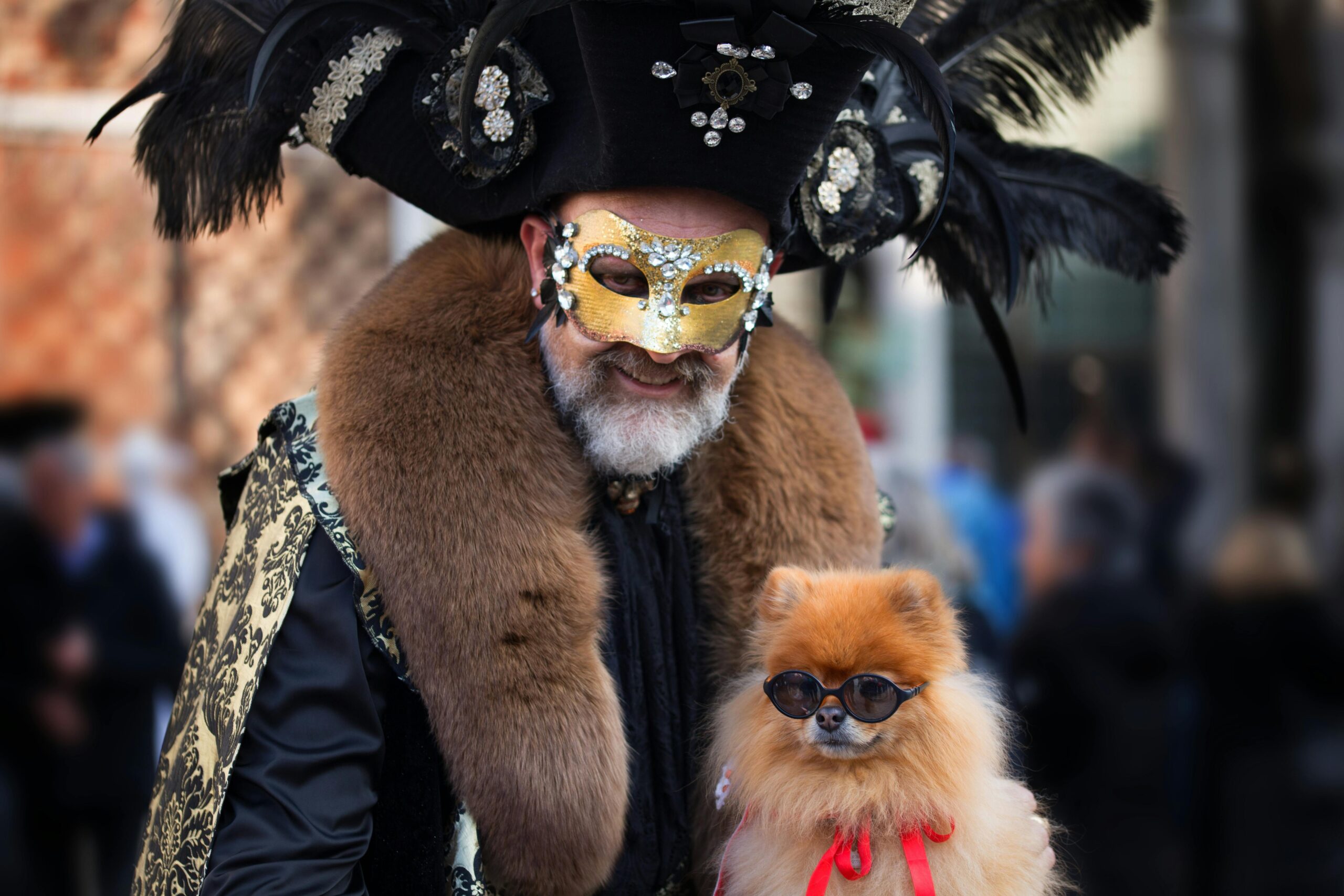 MidWest Spree Travel Pet Carrier review