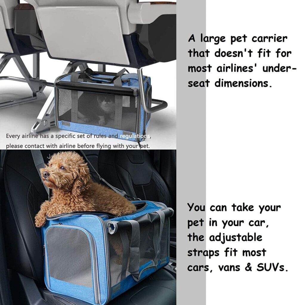 Pet carrier for large and medium cats review