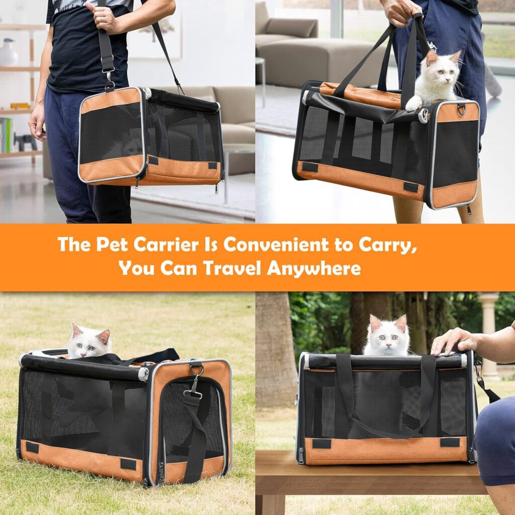 Pet carrier for large cats review