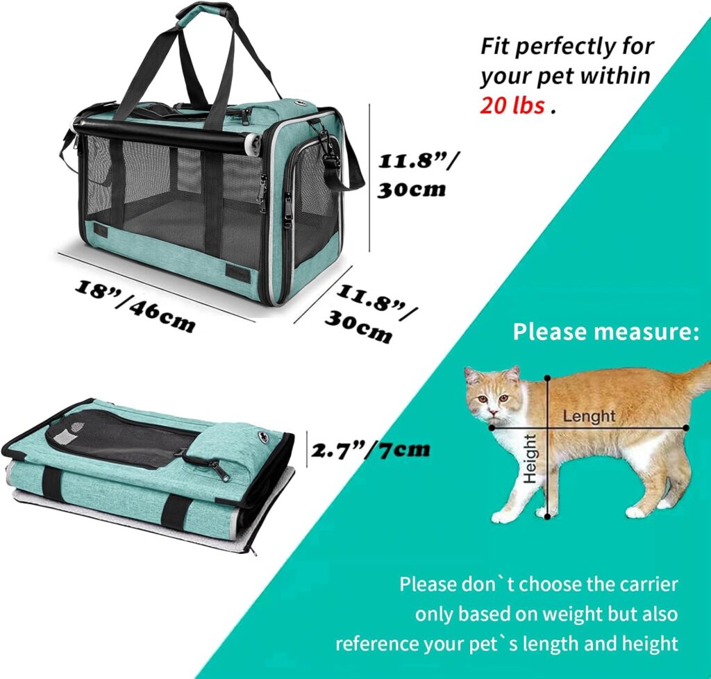 Pet carrier for large cats review