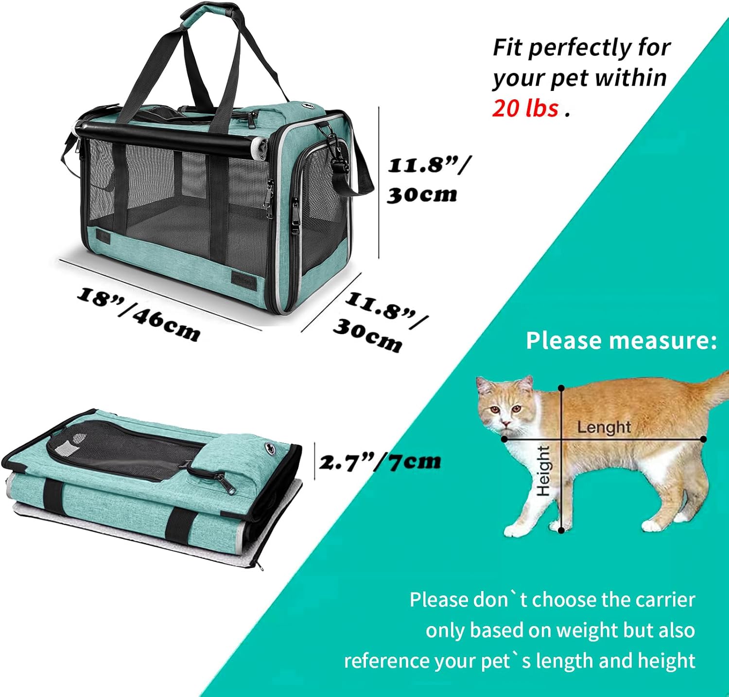 Pet Carrier for Large Cats Review