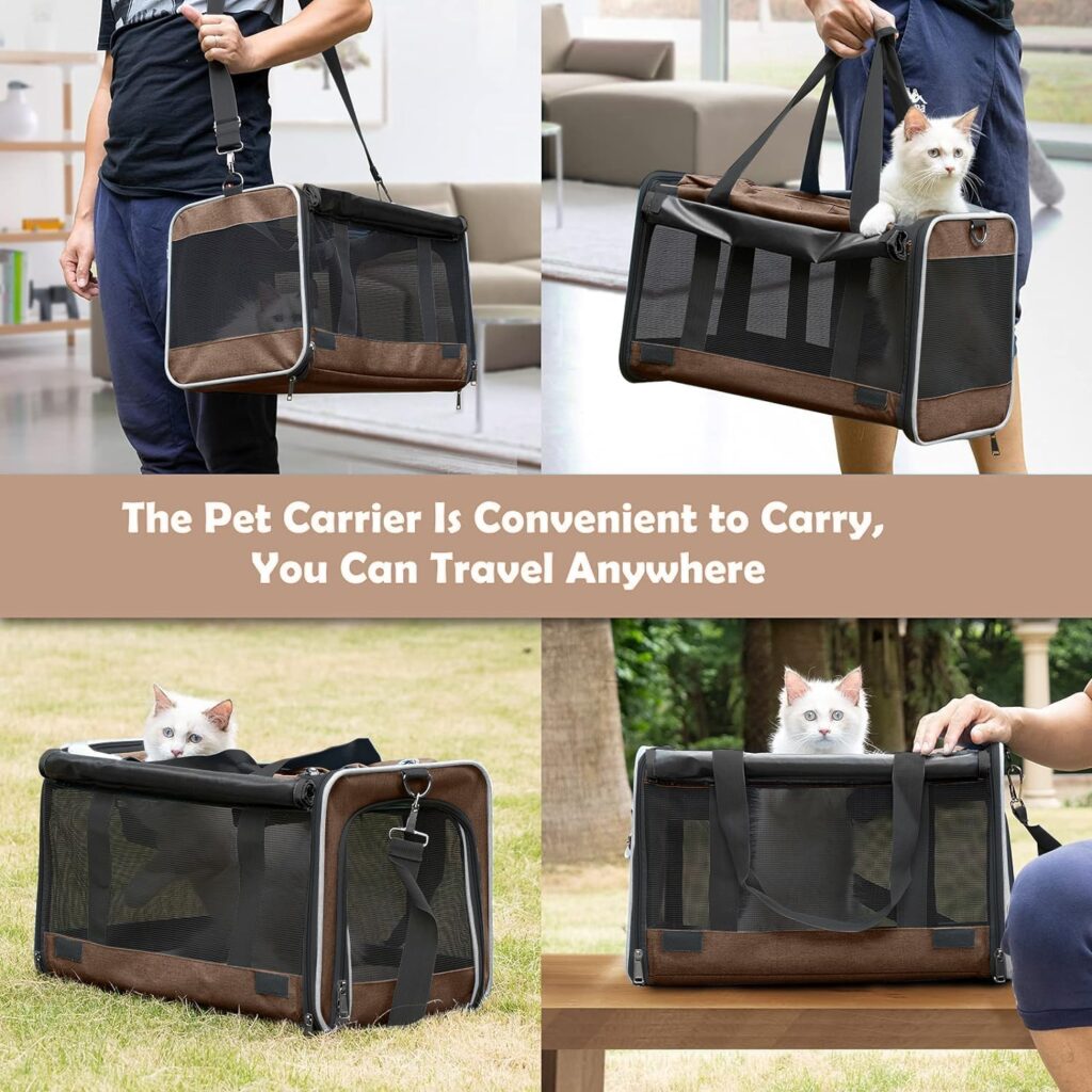 Pet carrier for large cats review