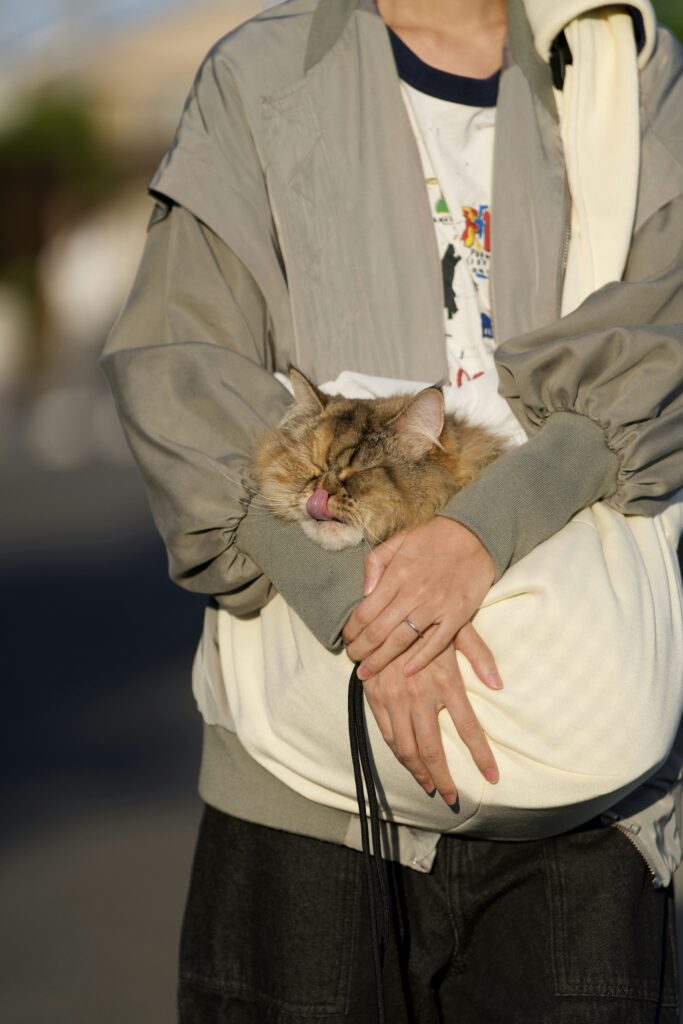 Sherpa pet carrier review