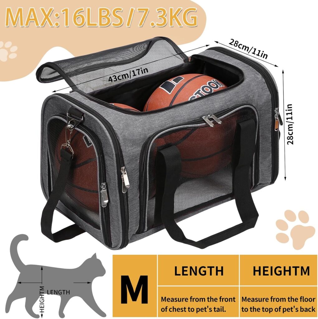 Pet carriers guide illustration
