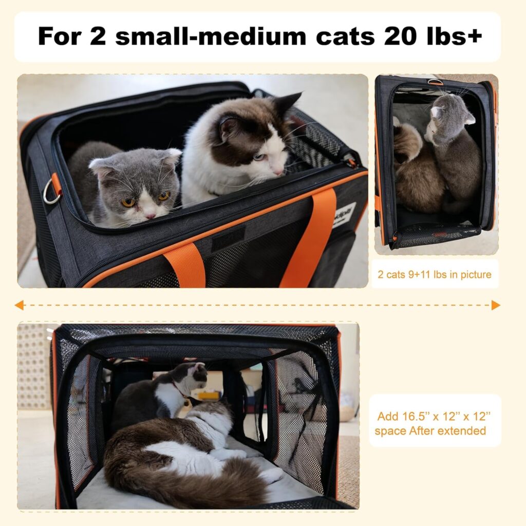 20x14x14 expandable pet carrier review