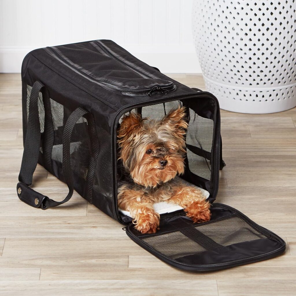 Amazon basics soft-sided mesh pet travel carrier review