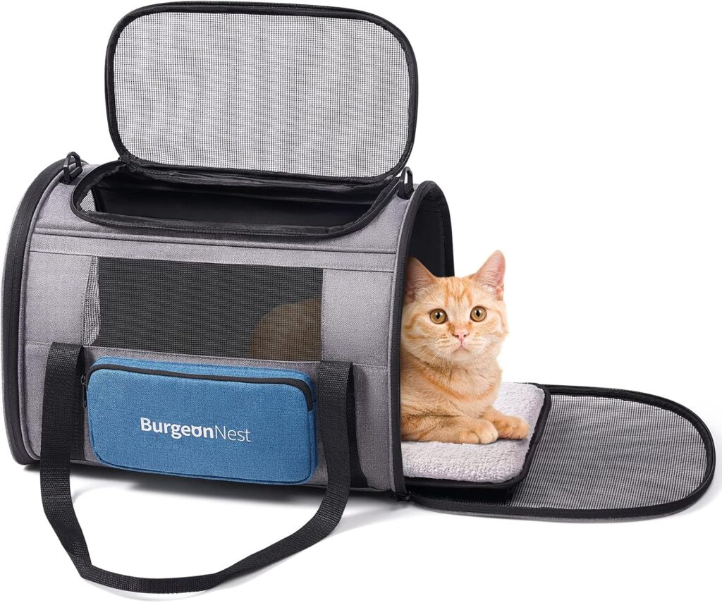 Burgeonnest cat carrier review
