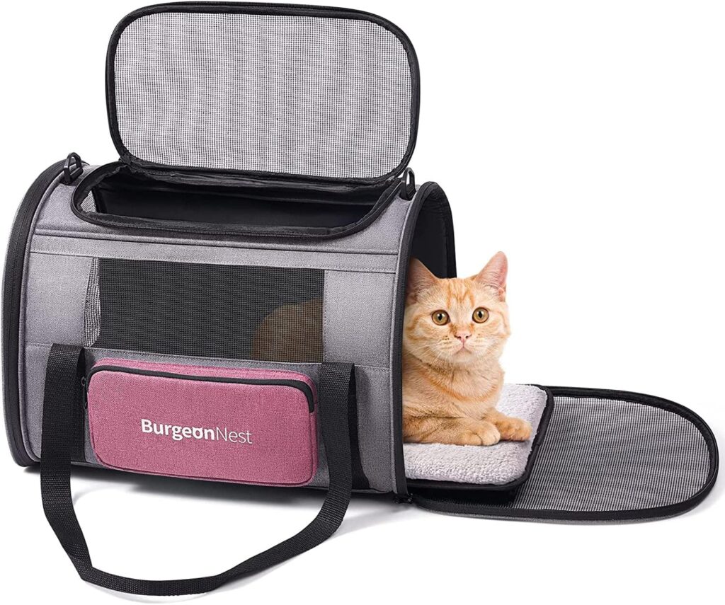 Burgeonnest cat carrier review