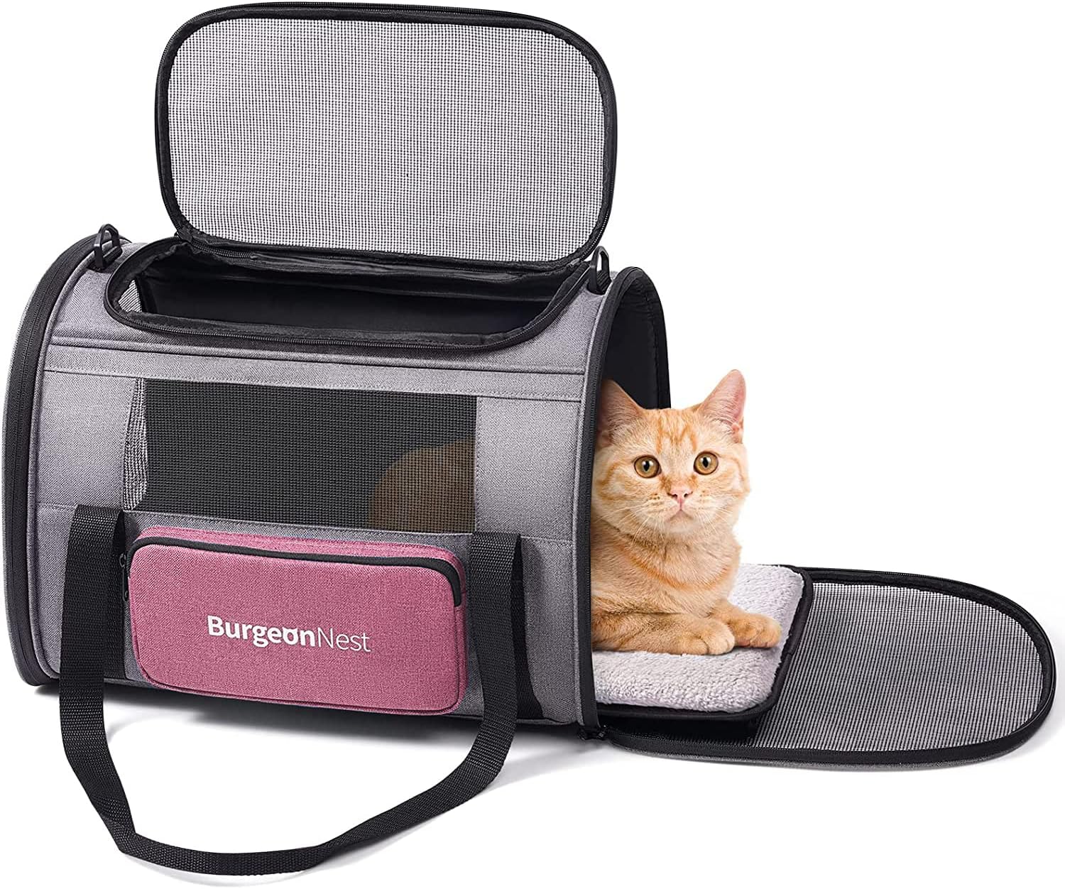 BurgeonNest Cat Carrier review