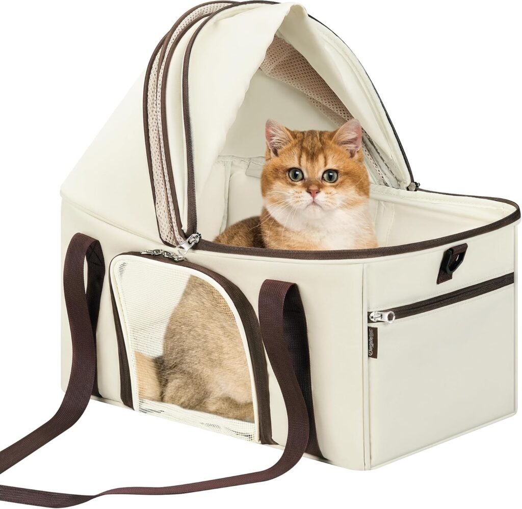 Burgeonnest top-expandable large cat carrier review