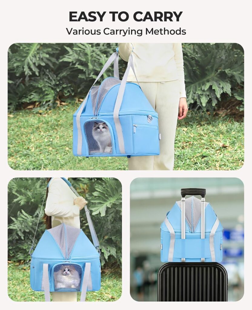 Burgeonnest top-expandable large cat carrier review