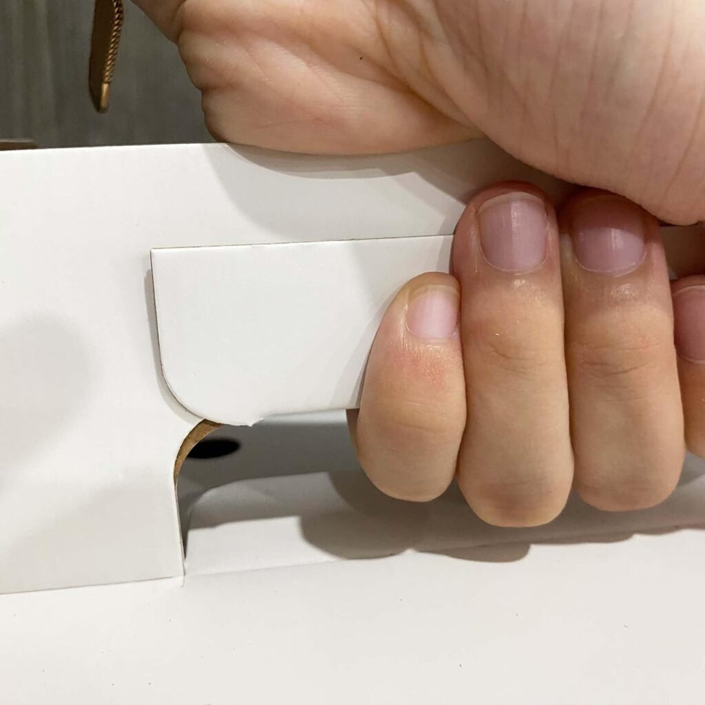 Cardboard pet carrier 12-pack review