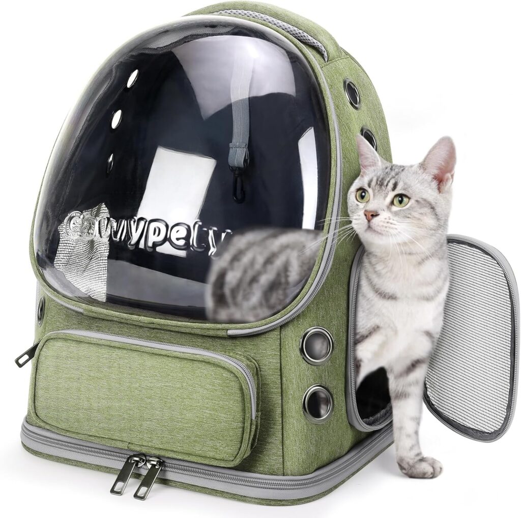 Cat backpack carrier review