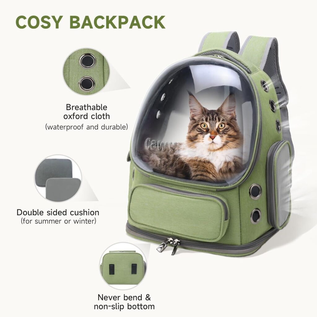 Cat backpack carrier review