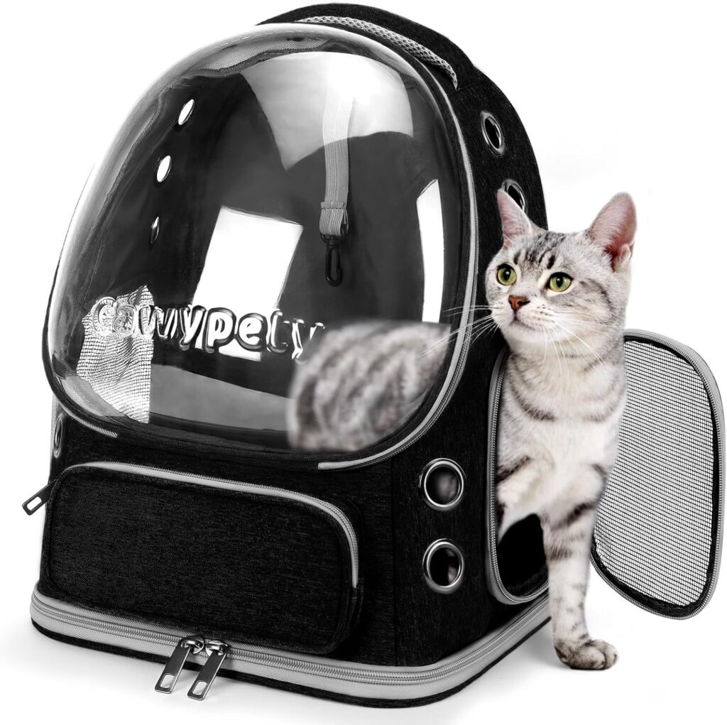 Cat backpack carrier review