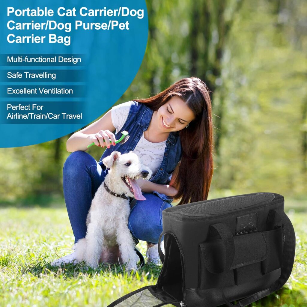 Cat carrier review guide illustration