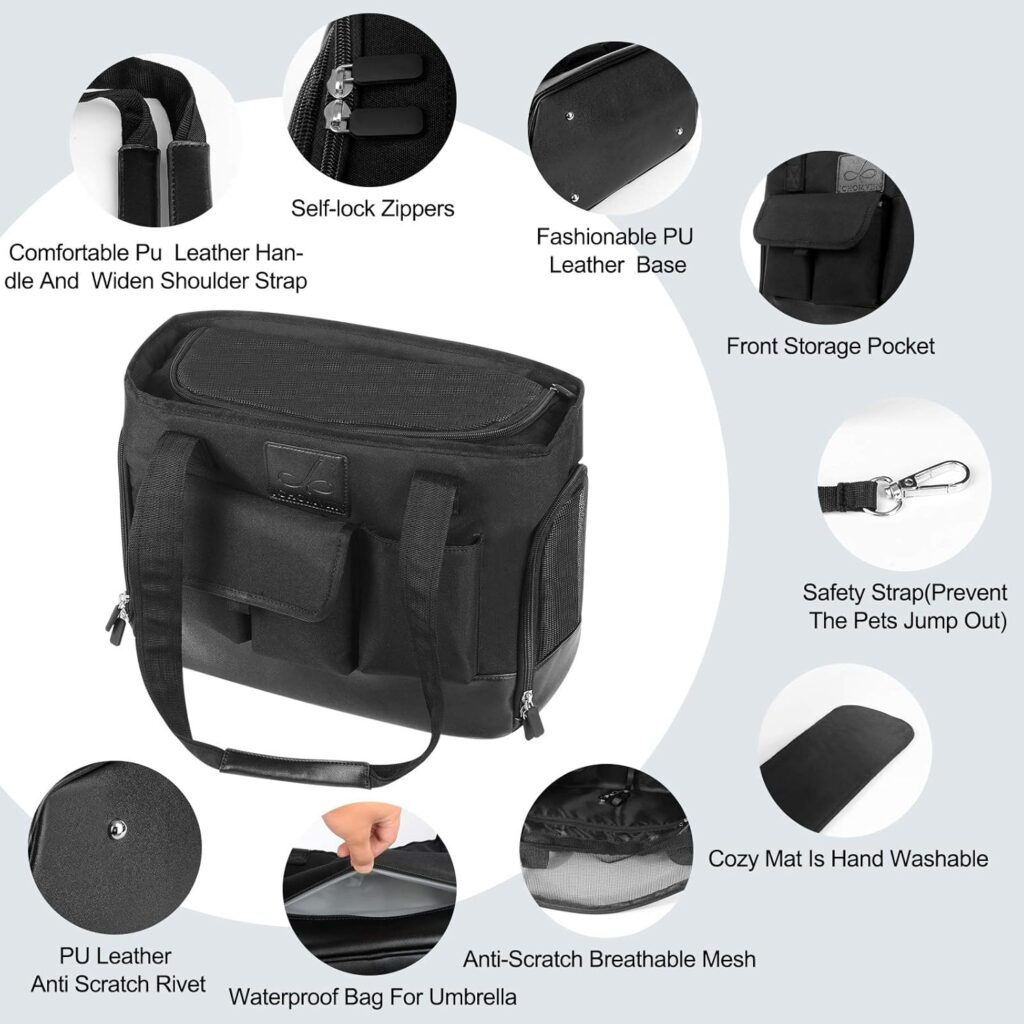 Cat carrier review guide illustration