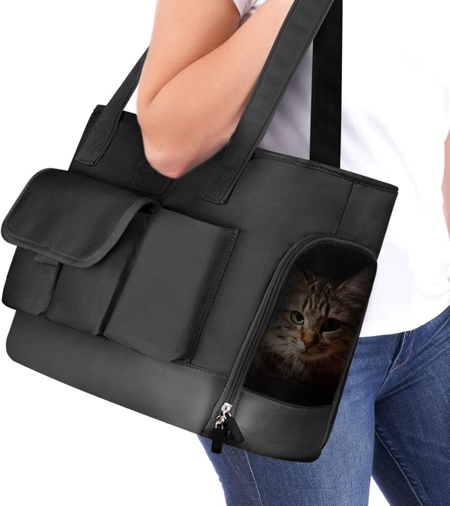 Cat carrier review guide illustration