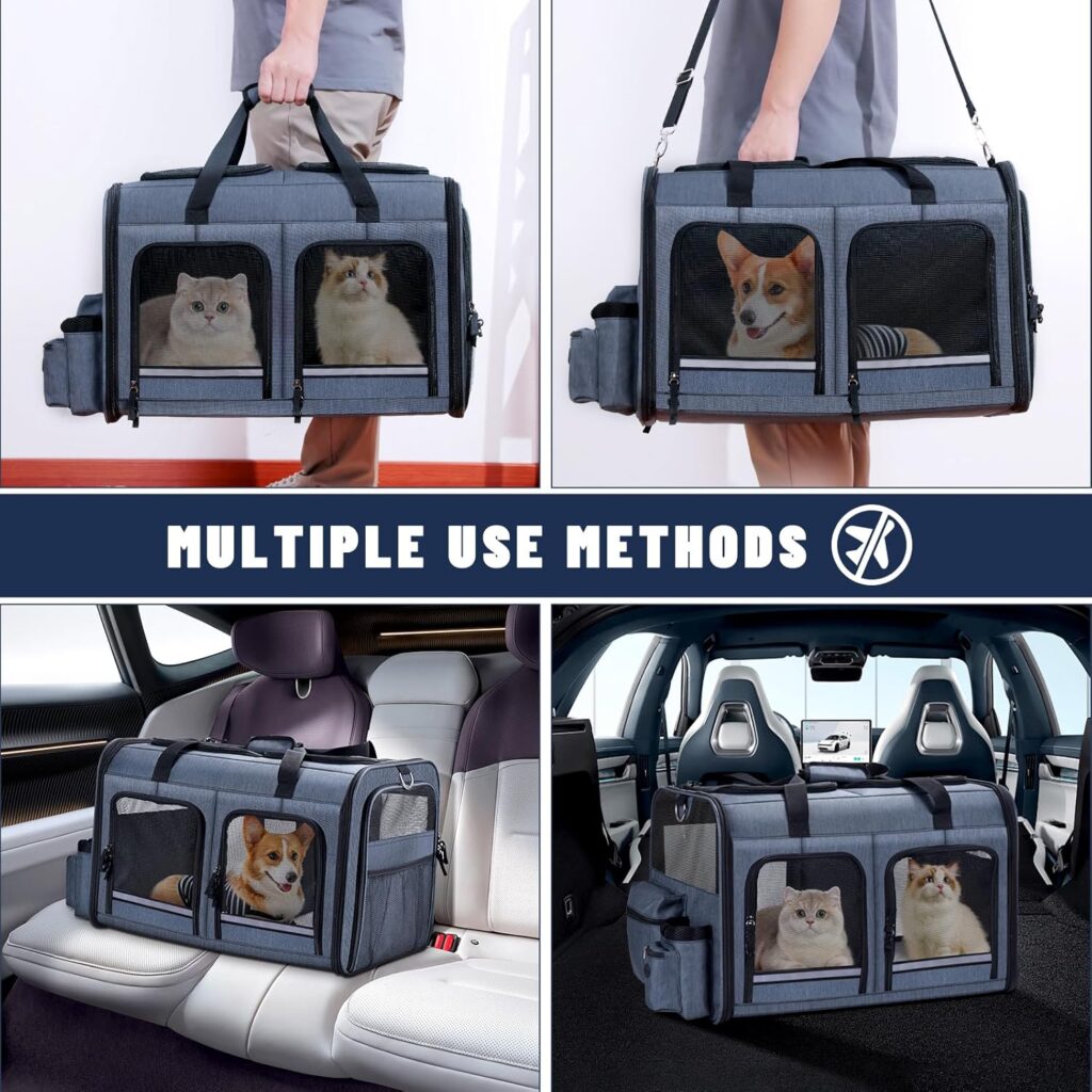Cat carrier for 2 cats review