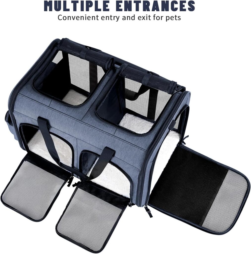 Cat carrier for 2 cats review