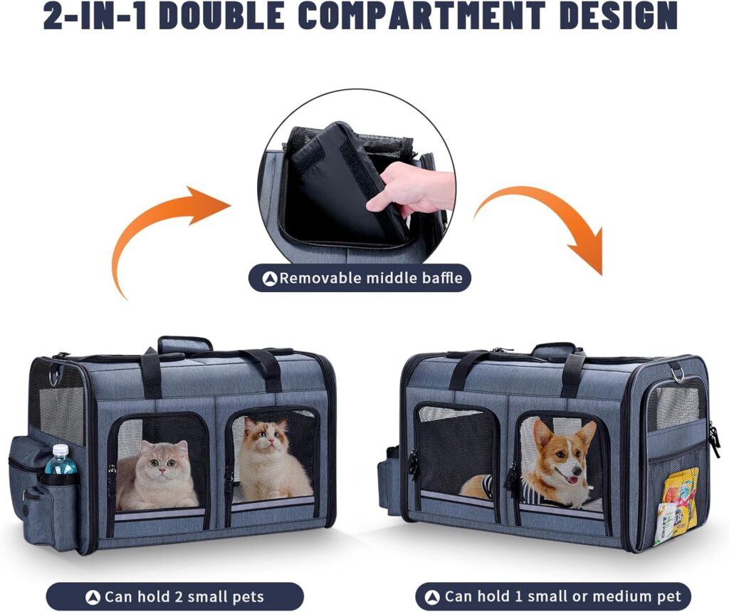 Cat carrier for 2 cats review