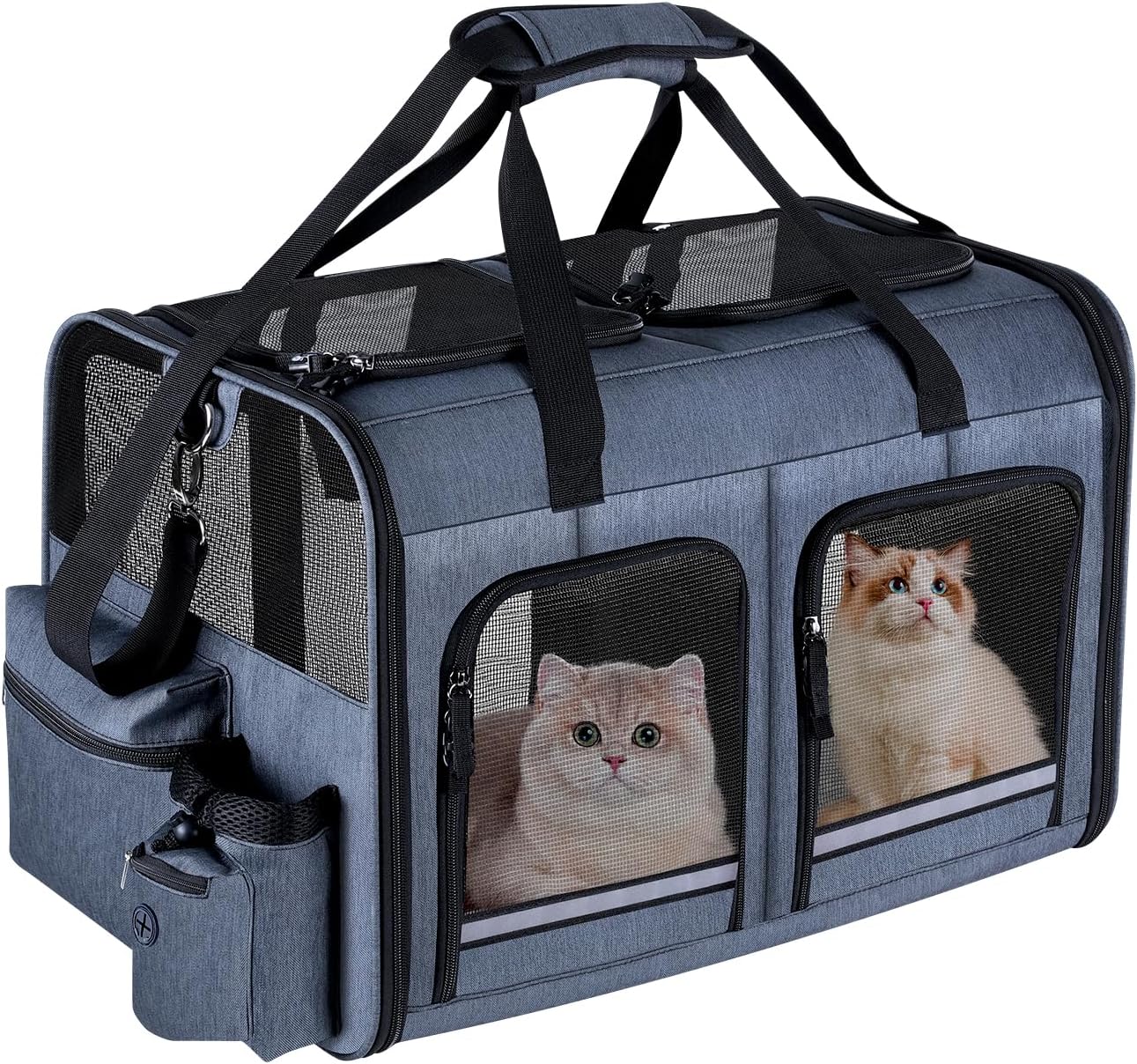Cat Carrier for 2 Cats review