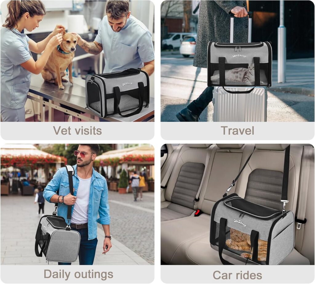 Chuzhong airline approved pet carrier (grey) review