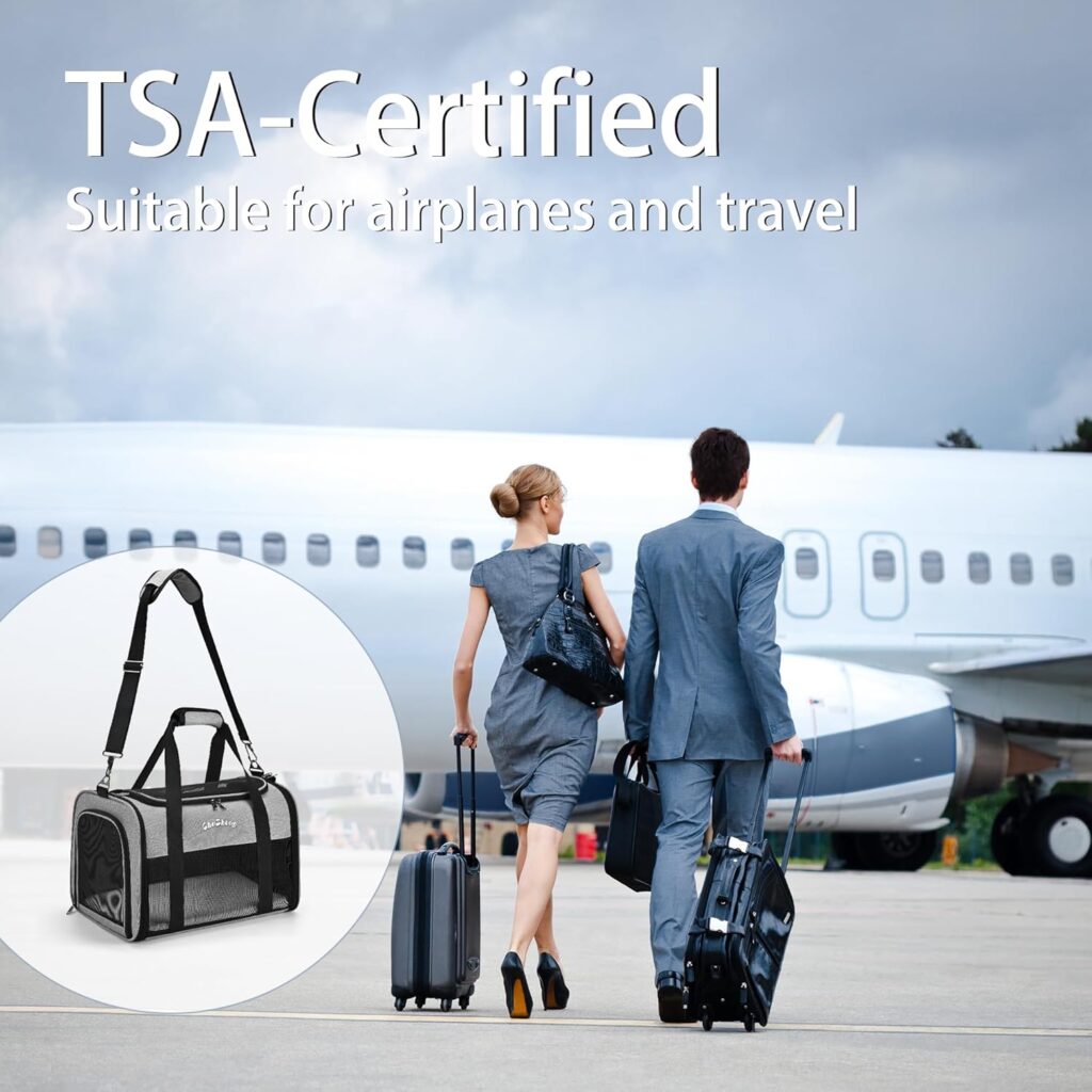Chuzhong airline approved pet carrier (grey) review