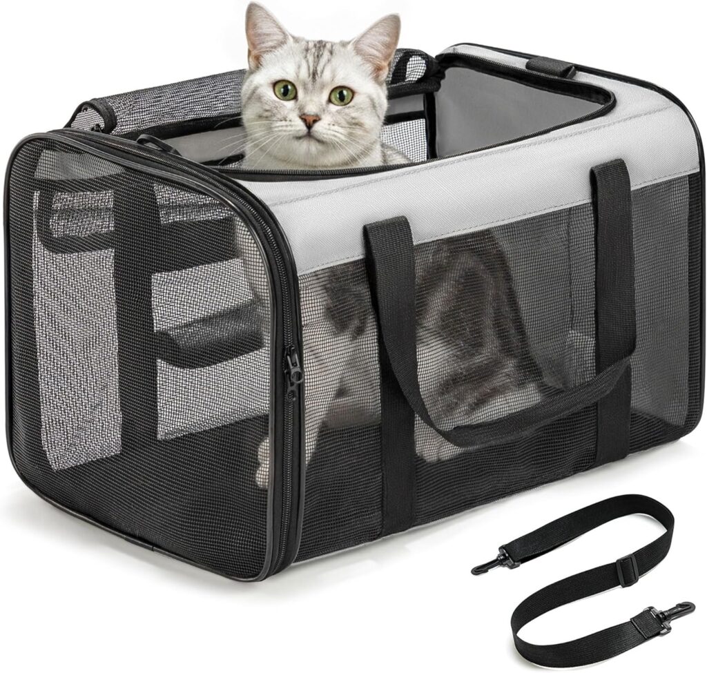 Conlun cat carrier bag review