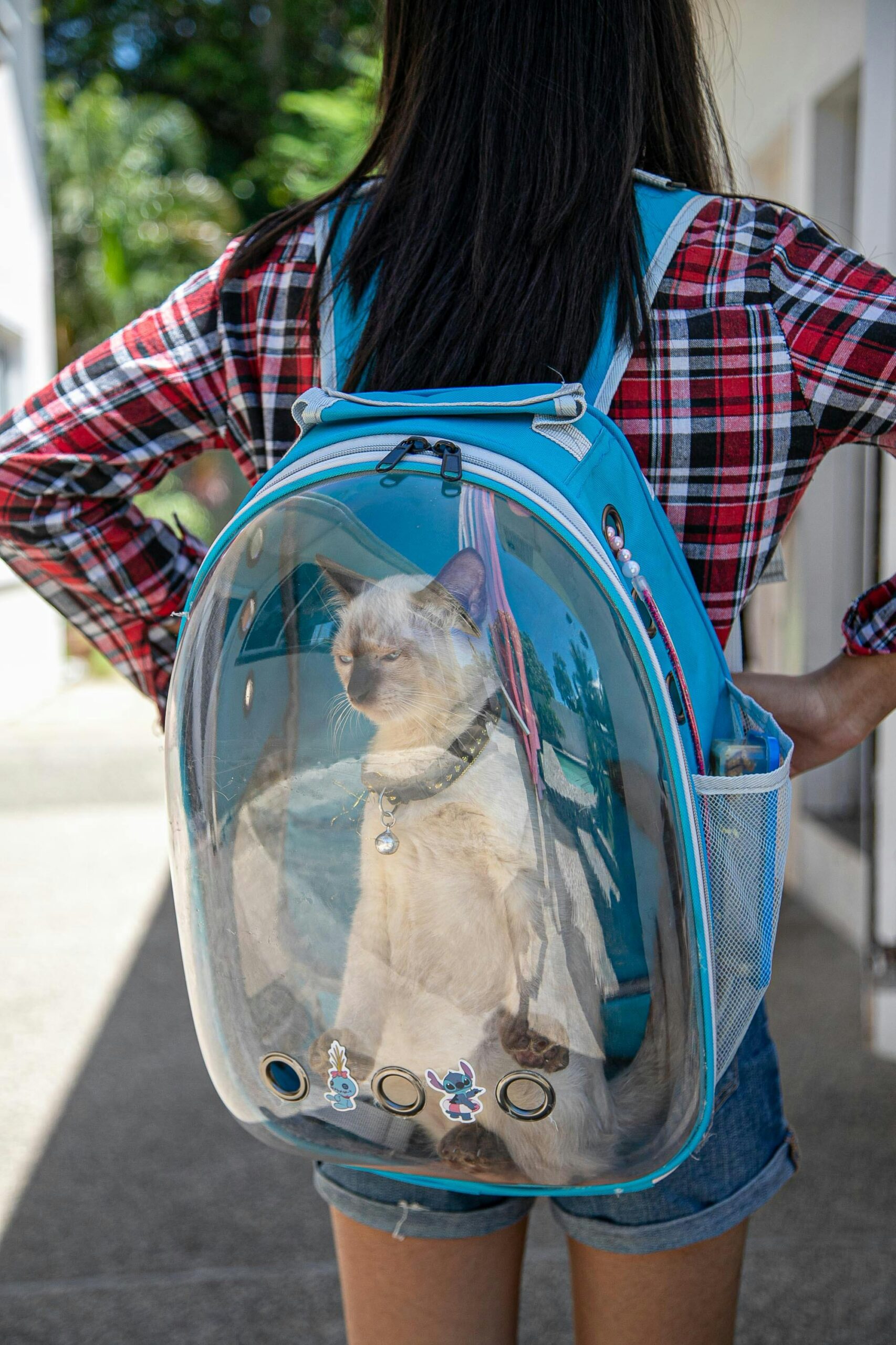 DALIAN Soft-Sided Cat Dog Carrier review