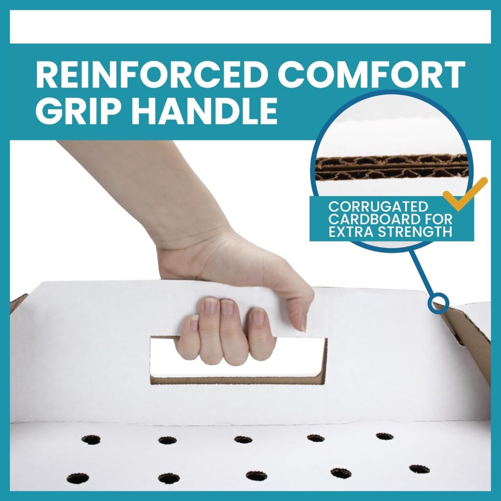 Disposable cardboard pet carrier review