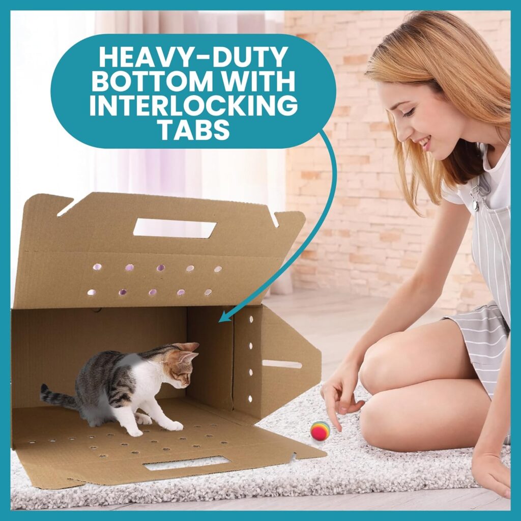 Disposable cardboard pet carrier review