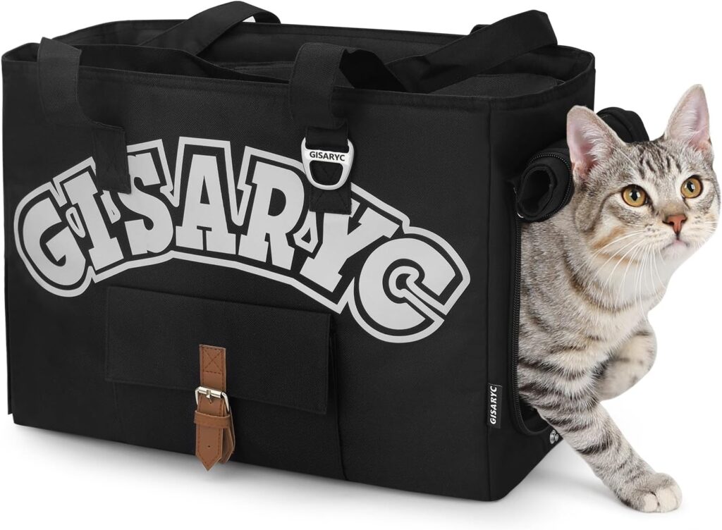 Soft-sided foldable pet travel bag review