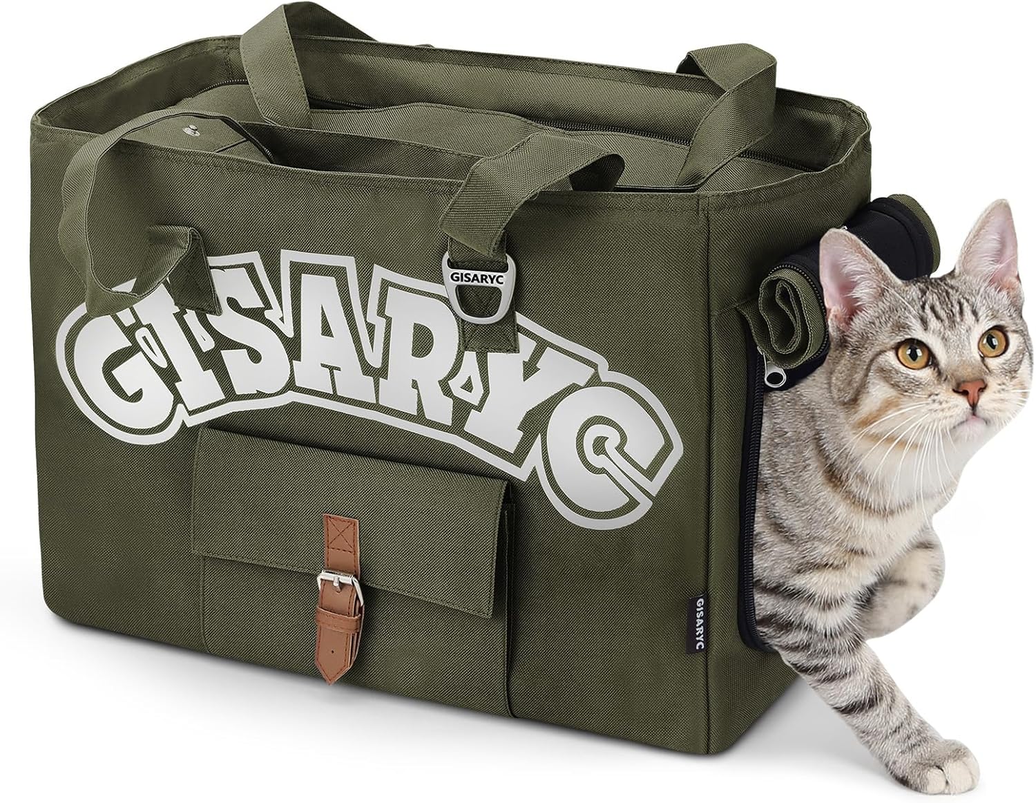 Soft-Sided Foldable Pet Travel Bag review