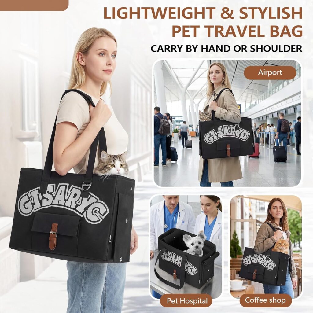 Soft-sided foldable pet travel bag review