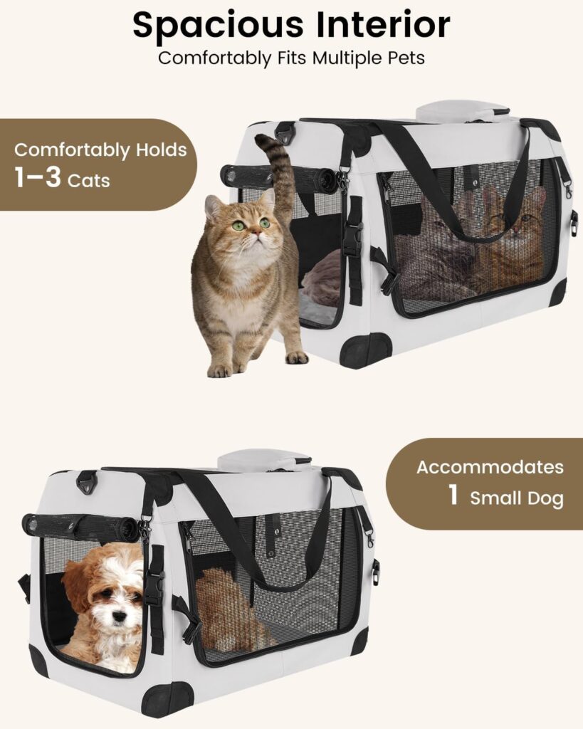 Extra large cat carrier for 2 cats review