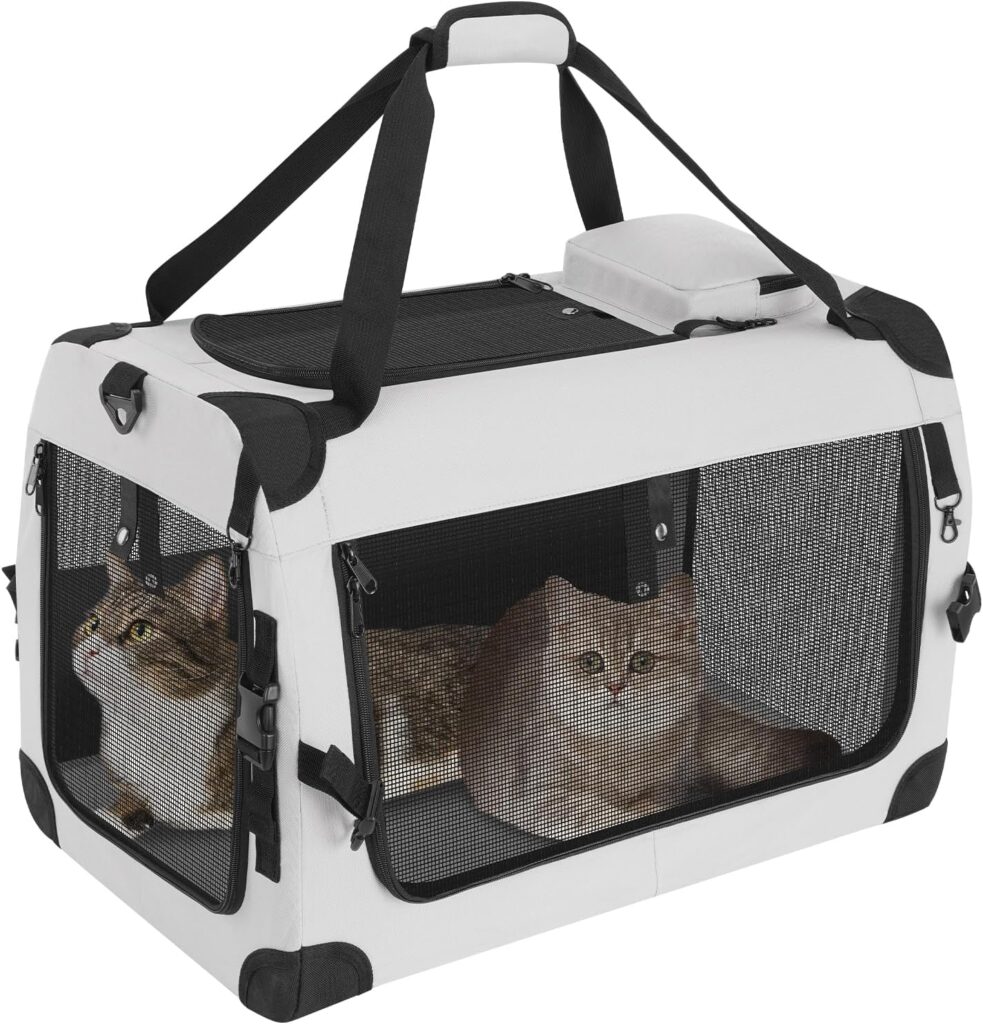 Extra large cat carrier for 2 cats review