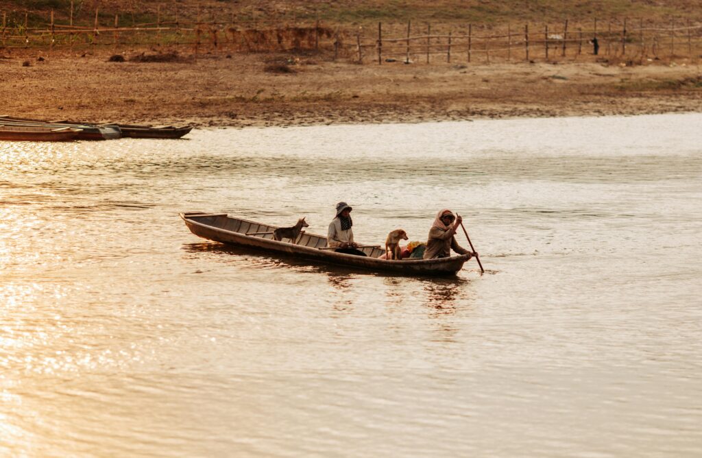 Feandrea collapsible dog crate 36-inch review