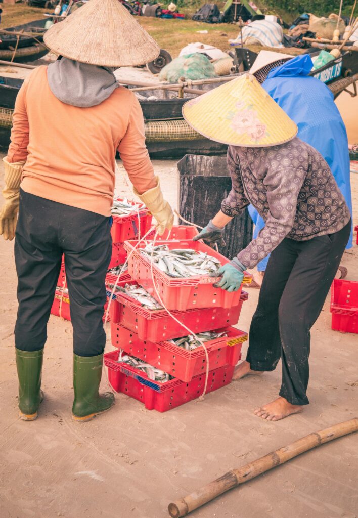 Feandrea collapsible dog crate 36-inch review