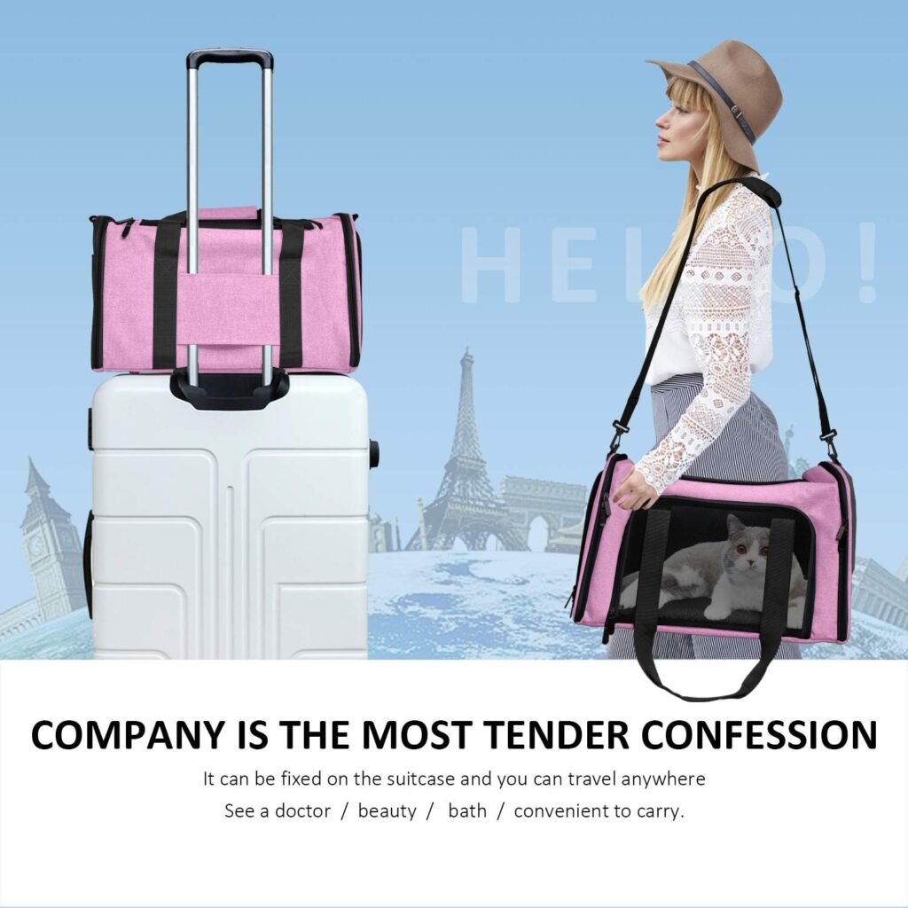 Henkelion pet carrier review