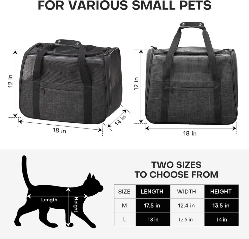 Jungyoun premium cat carrier review