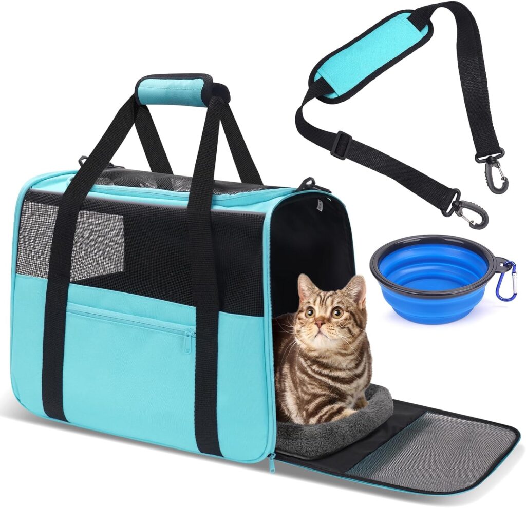 Jungyoun premium cat carrier review