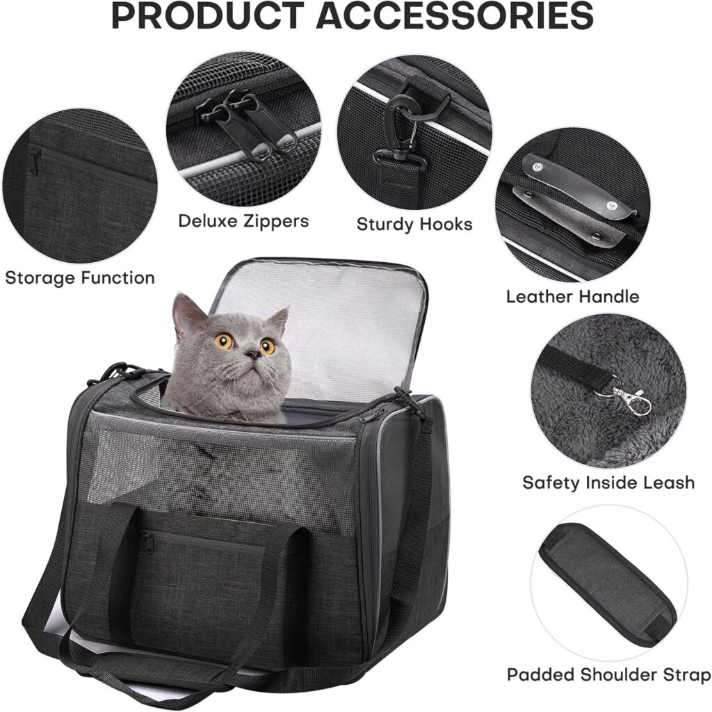 Jungyoun premium cat carrier review